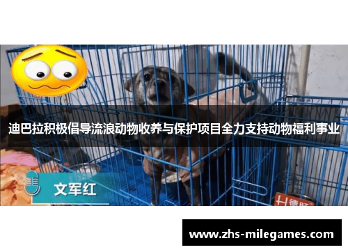 迪巴拉积极倡导流浪动物收养与保护项目全力支持动物福利事业